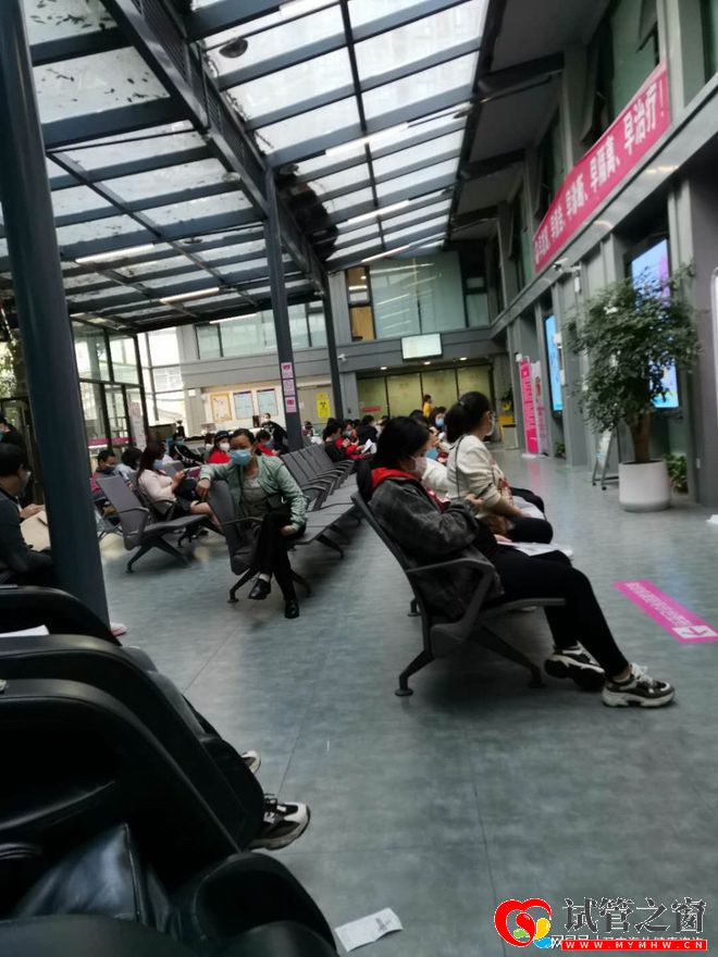 第三代試管嬰兒到底要怎么操作呢(圖1)