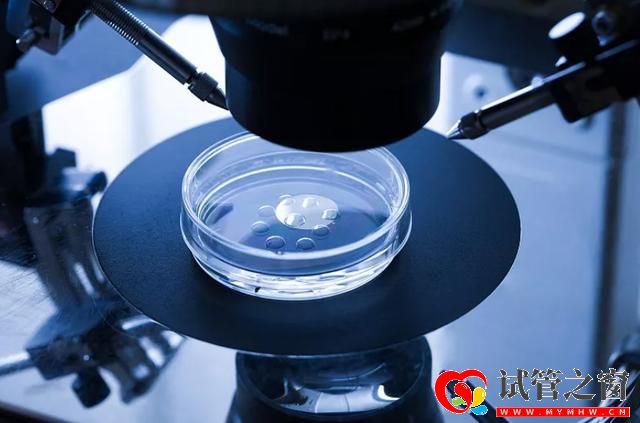 罕見病日,省婦幼送出10個免費的“第三代試管嬰兒”名額(圖3)