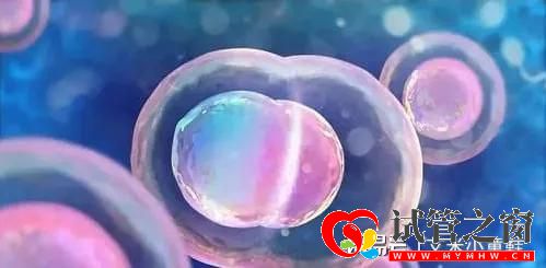 久備不孕,三代試管一次成功收獲雙胎(圖1)