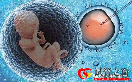 去美國做試管嬰兒要多久最短3天即可(圖1)