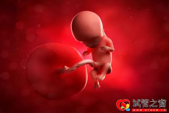 每年有30萬名試管嬰兒誕生!費用要10萬起效果卻因人而異(圖4)