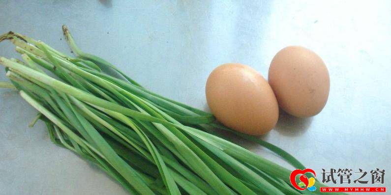 平時常見的韭菜雞蛋，一起搭配不僅美味，還可以保護子宮與卵巢(圖2)