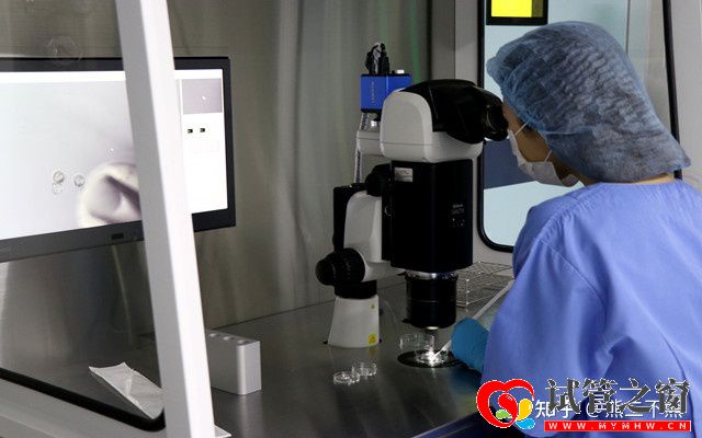 一起來看下試管嬰兒的花費明細表(圖1)