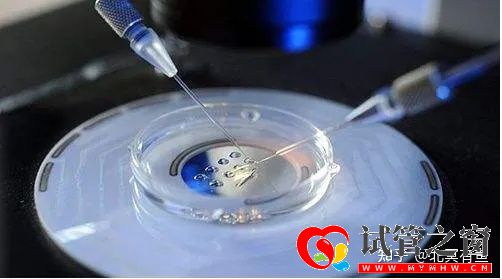 同性伴侶也可以生育自己的孩子(圖2)