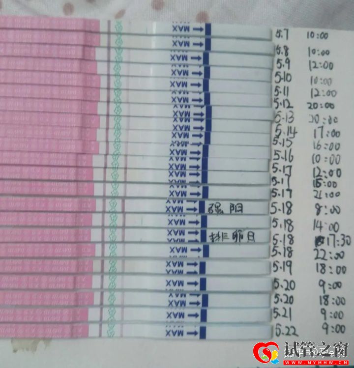 這樣的同房方式更容易懷孕!(圖3)