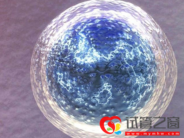 需要全胚冷凍的情況