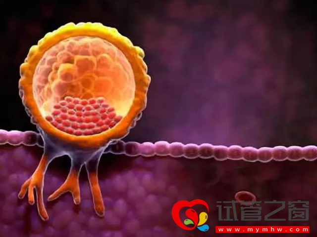 促排卵方案不適合鮮胚移植者