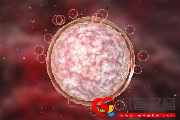 空卵泡又稱空卵泡綜合癥