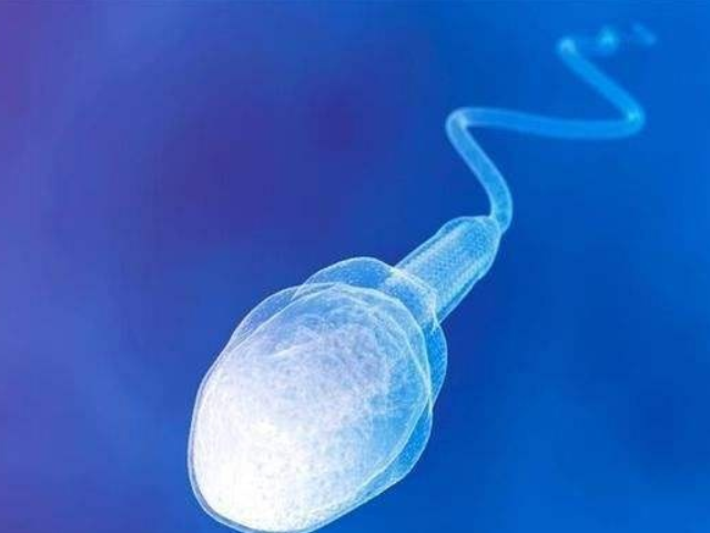 少精癥會影響男性生育能力