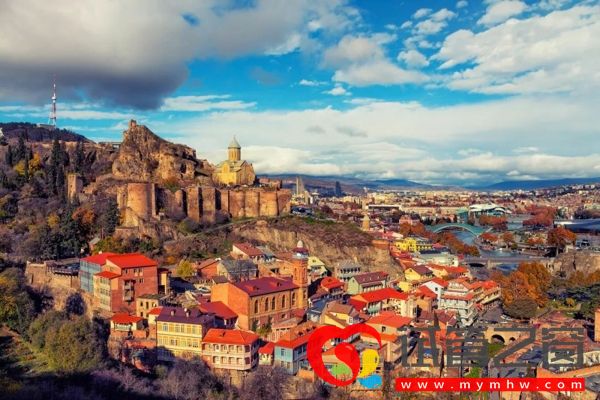 格魯吉亞試管醫院