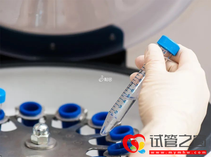 35歲以下做三代試管成功達百分之80