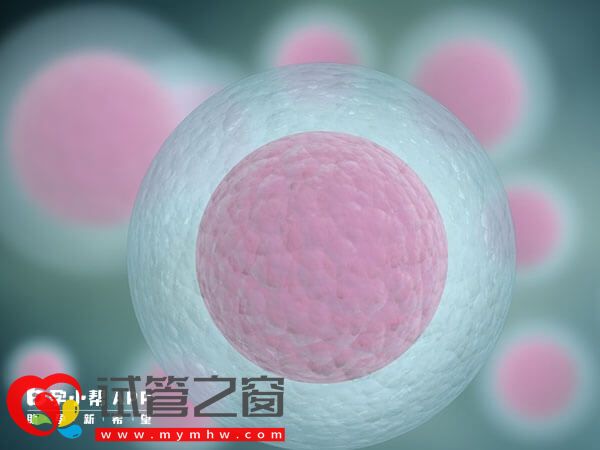 試管期間感冒有沒有影響