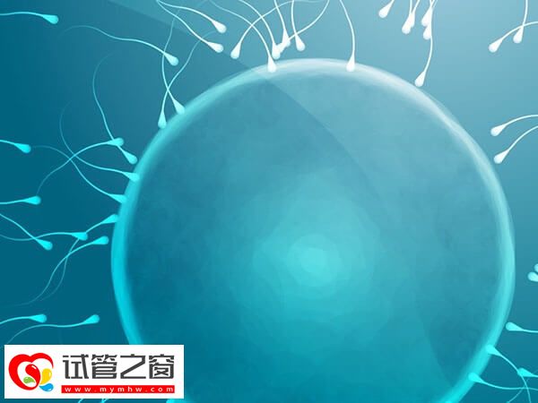 男人生育能力差有哪些征兆?勃起功能障礙要小心(圖2) 男人沒生育能力的表現有哪些