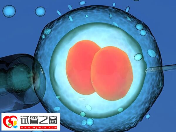 重慶哪個醫生做試管最權威