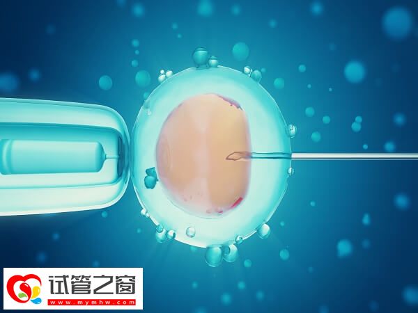 做試管期間要做好注意事項