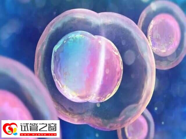 不好的生活習慣對卵子質(zhì)量有傷害