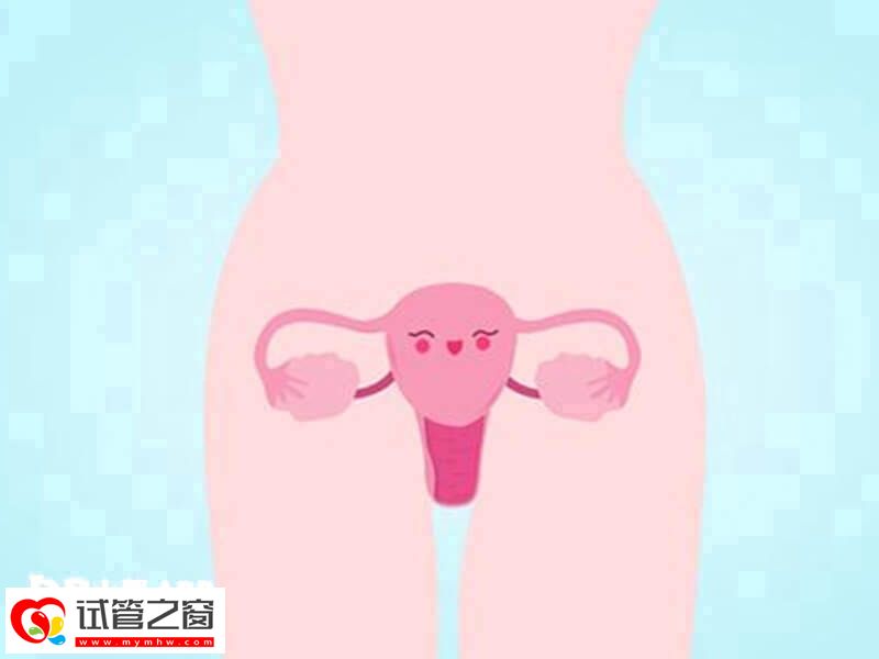 做試管前要調理好子宮內膜