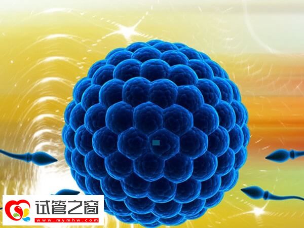 試管嬰兒fet方案有什么優勢