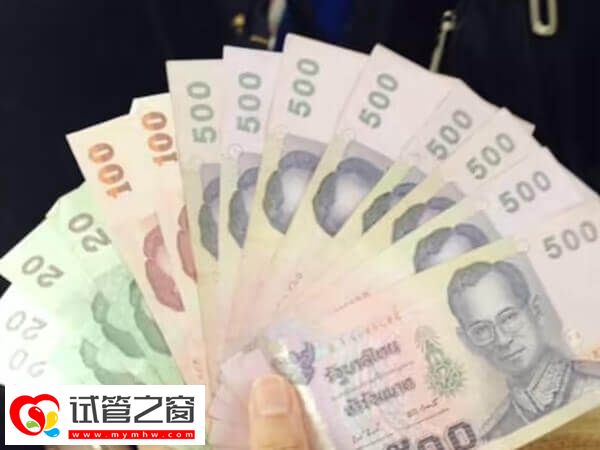 各代試管嬰兒費用說明