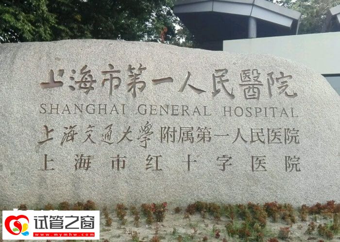 上海三代試管術(shù)前檢查費(fèi)用