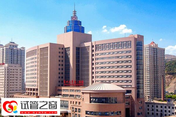 蘭大二院試管成功率多少