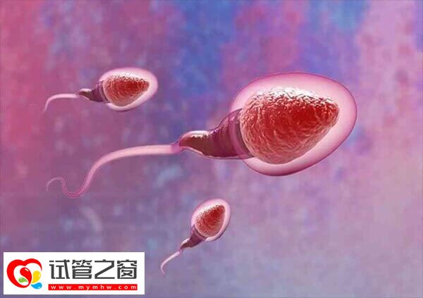 呼和浩特有3家醫院可以做人授