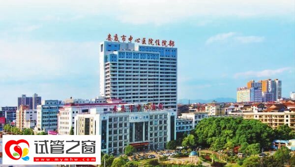 婁底中心醫院試管成功率高