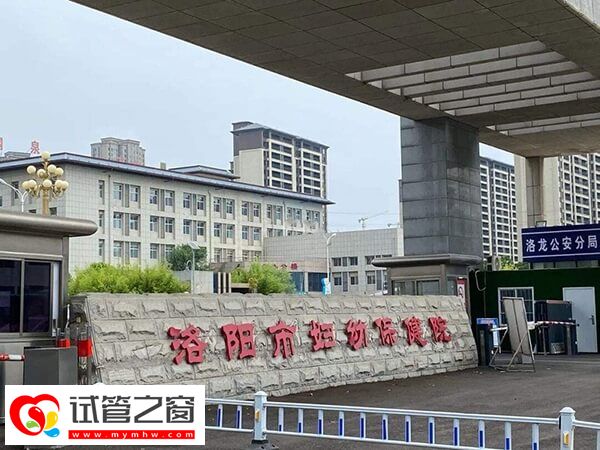 洛陽市婦幼試管成功率多少