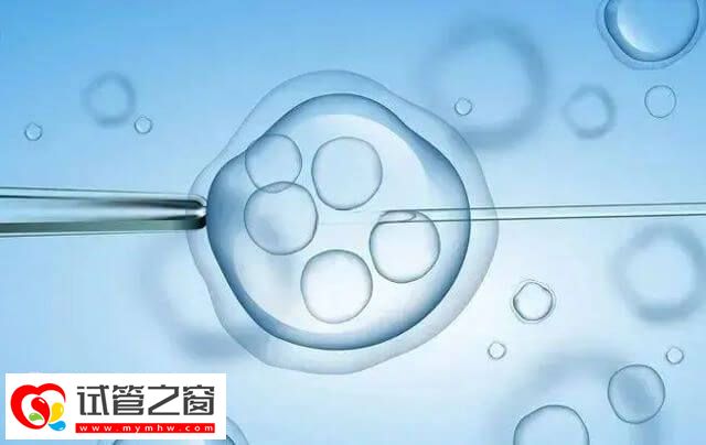 大同試管嬰兒醫生多