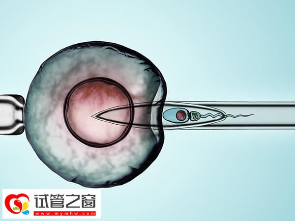 連云港三院湯麗莎醫生試管技術好