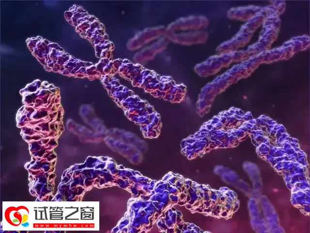 解讀報告要重點關注染色體篩查結果