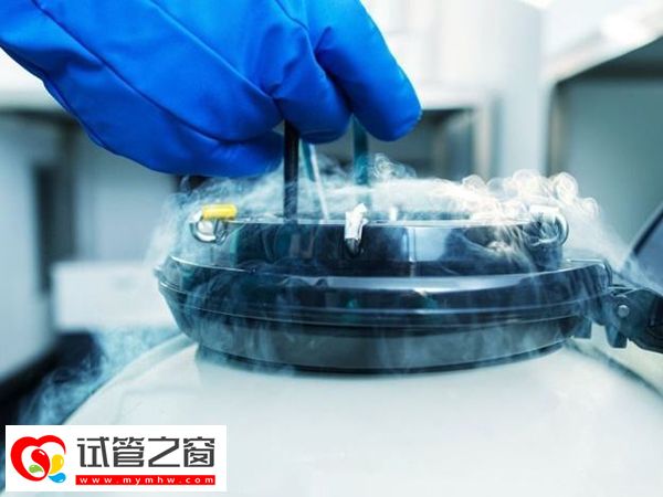 凍胚續費可以在周六日交