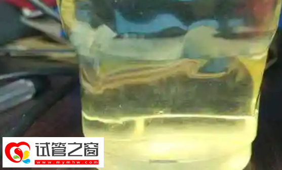 酒精測試法來判斷胎兒男女是一種不可取的