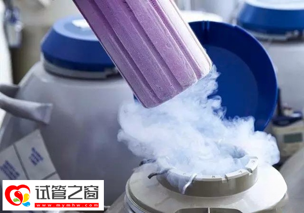 胚胎解凍前要檢查