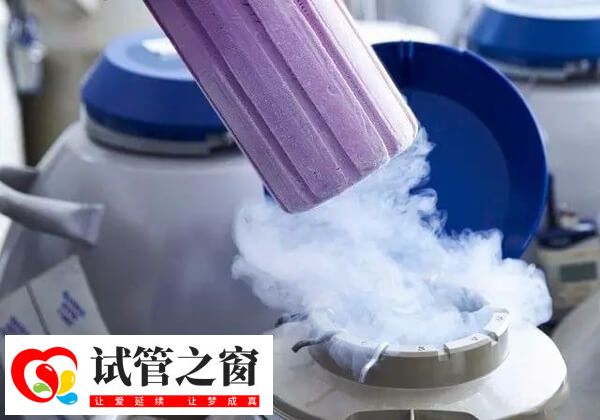 試管嬰兒剩余的胚胎會冷凍保存起來