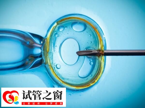 做試管嬰兒一個周期需要2到3個月