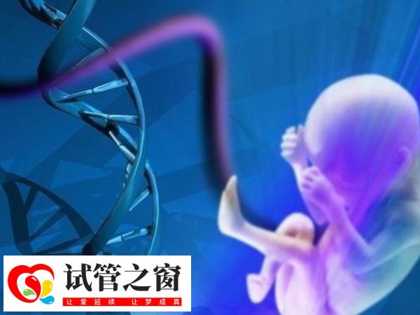 胚胎一半的基因來自父親