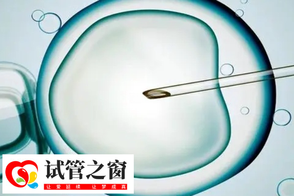 國內(nèi)不允許單身人士做試管嬰兒