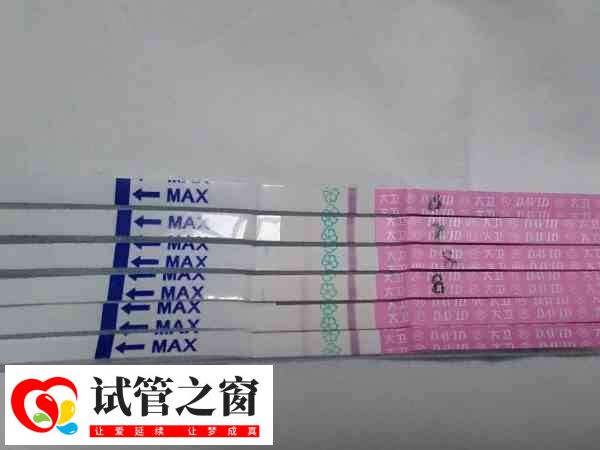 試紙不加深可能是試紙靈敏度低