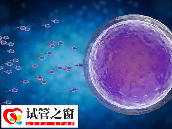 長方案降調后促排時間大約為10-14天