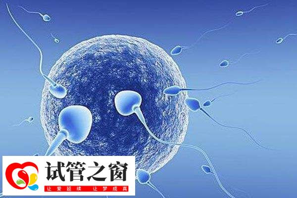 人工周期凍胚移植要6-8周