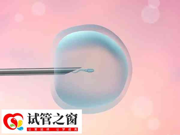 試管嬰兒失敗后一般不需要坐月子