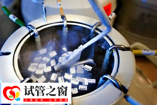 試管胚胎解凍要付費