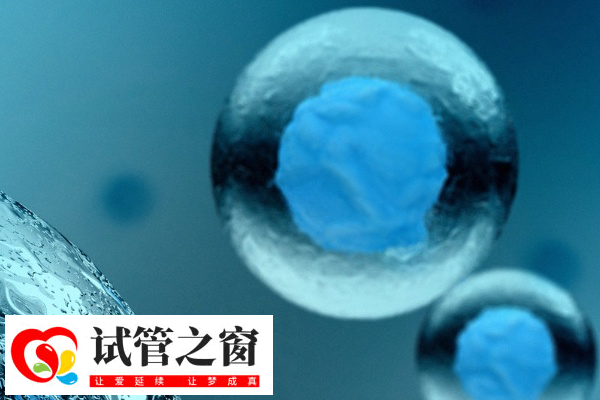 試管嬰兒技術(shù)不受月份的影響