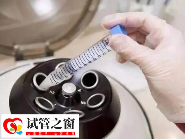 睪丸穿刺前可進行局部麻醉