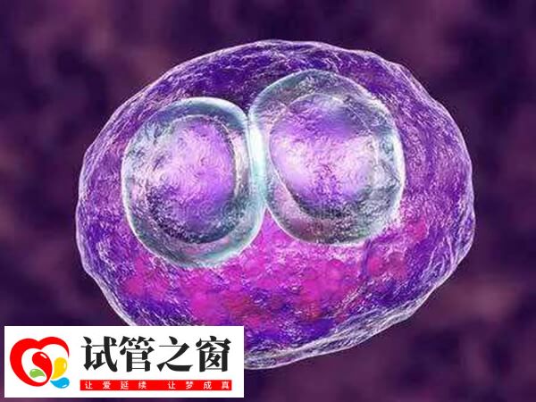 胚胎移植后要注意個人衛(wèi)生