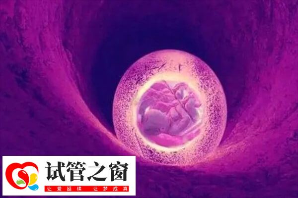 試管嬰兒需要回到子宮內孕育