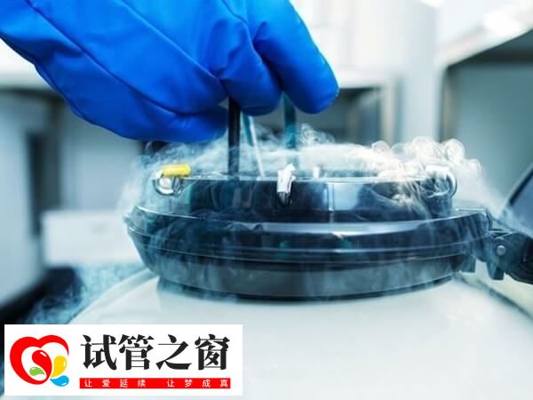 移植凍胚前要先準備內膜