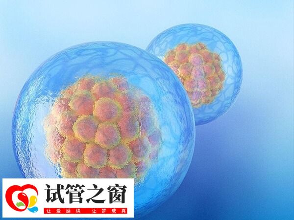 促排取卵數量因人而異