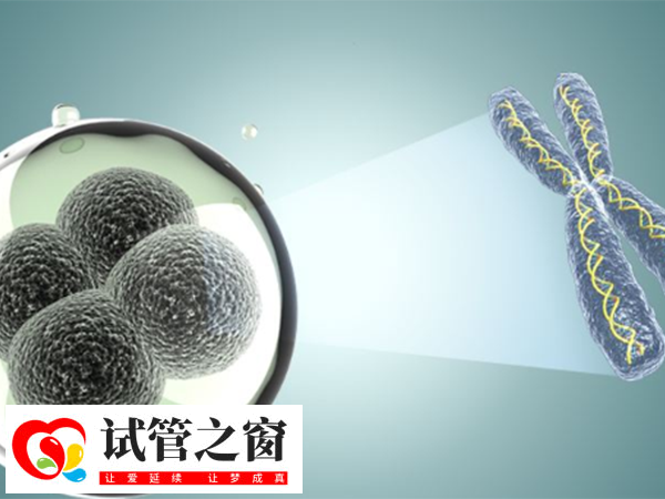 子宮內膜13b不建議移植囊胚